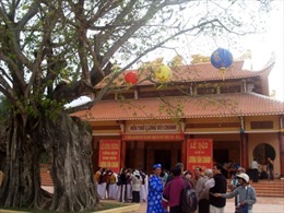 Cây bồ đề 200 tuổi được công nhận là cây di sản Việt Nam